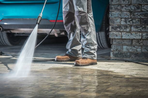 Best Fleet Vehicle Washing  in Grandwood Park, IL