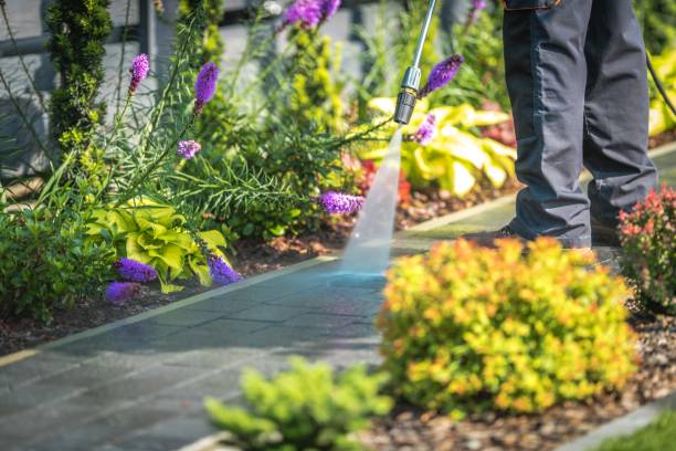 Best Factory Floor Cleaning  in Grandwood Park, IL